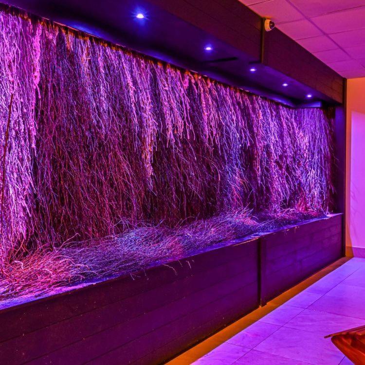 Hotel Business Faltom Gdynia Rumia Dış mekan fotoğraf